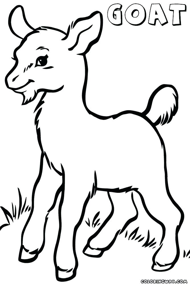 667x1000 Goat Coloring Pages Goat Coloring Pages Cute Goat Coloring Sheets