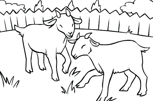 532x353 Billy Goats Gruff Printable Story Printable Coloring Goat Coloring