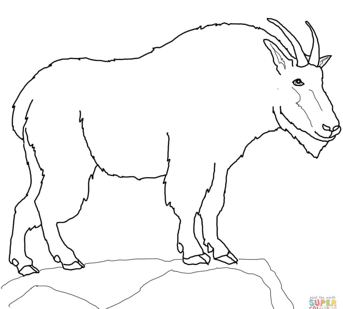 1200x1080 Coloring Pages Farm Animals Cute Billy Goat Smiles Free Printables
