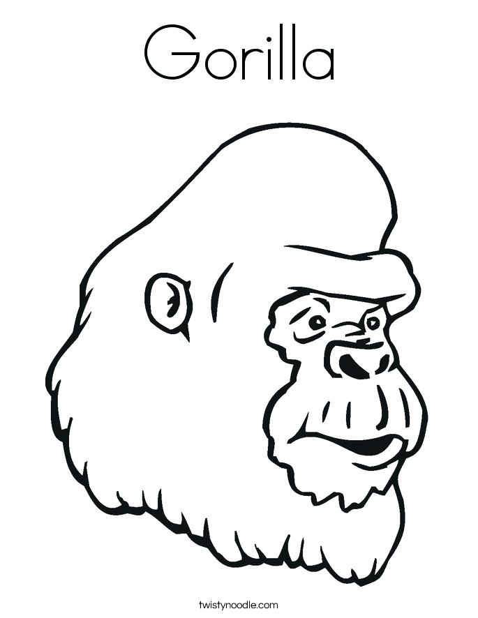 685x886 Gorilla Coloring Pages Blank Gorilla Coloring Page Cute Gorilla