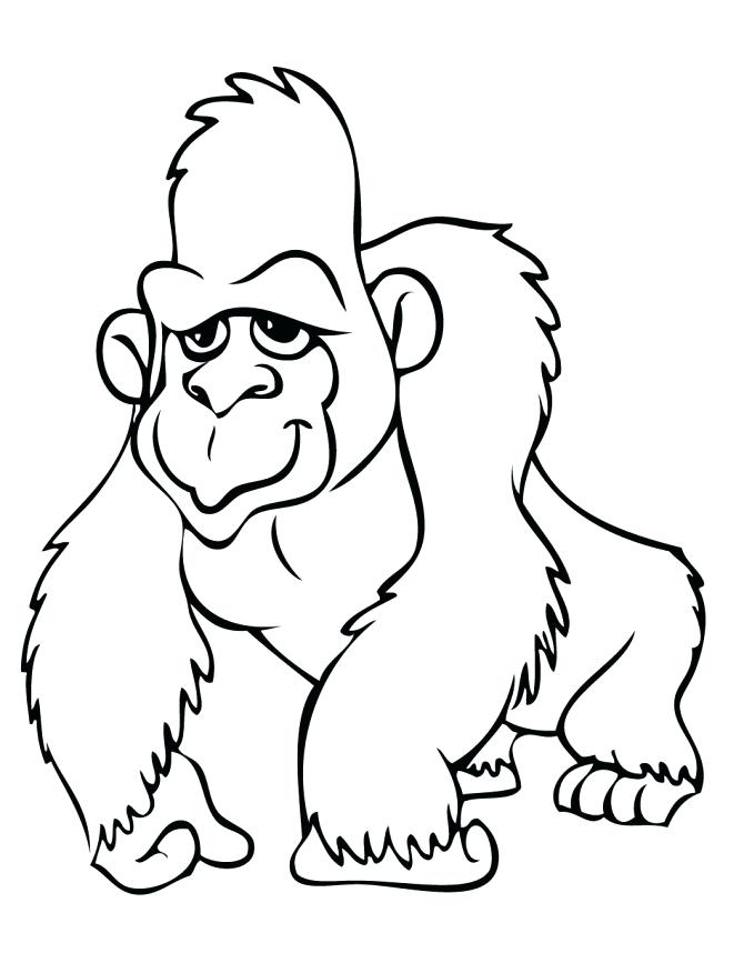 670x867 Gorilla Coloring Pages Endearing Gorilla Coloring Pages Com