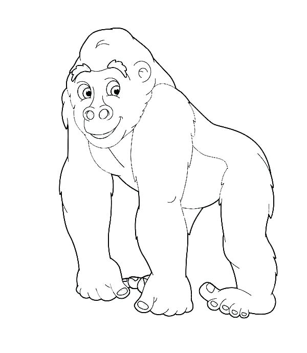600x690 Gorilla Coloring Pages Going Safari With Gorilla Coloring Page