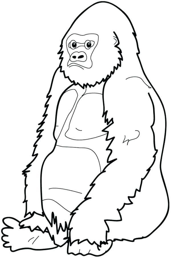 600x904 Gorilla Coloring Pages Gorilla Coloring Pages Gorilla Coloring