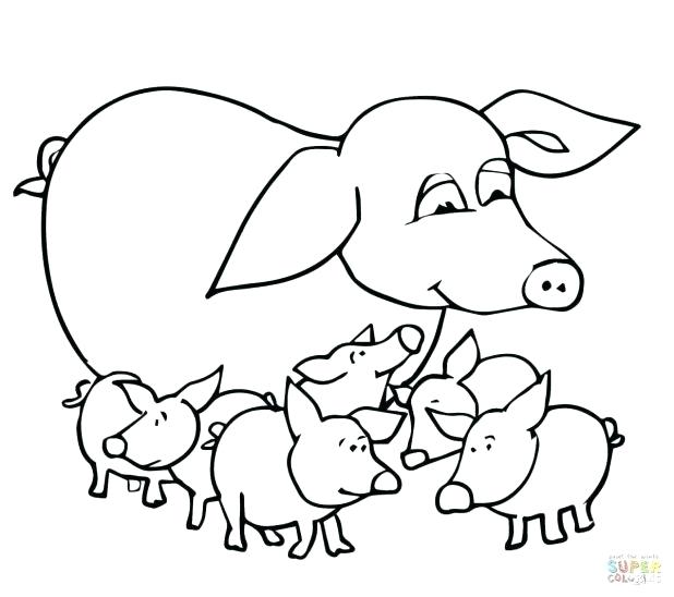 618x548 Guinea Pig Coloring Pages Coloring Pages Of Guinea Pigs Free