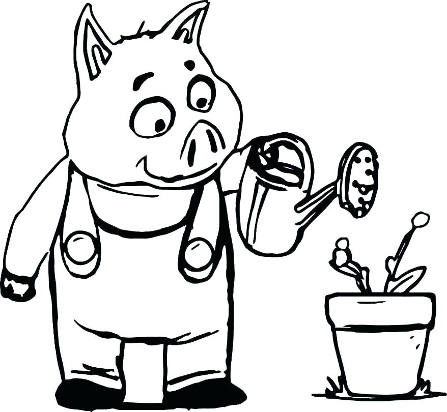 878x810 Three Little Pigs Coloring Pages Cute Guinea Pig Coloring Pages