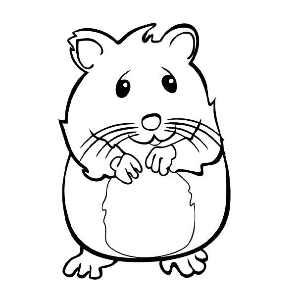 600x600 Cute Hamster Coloring Free Download