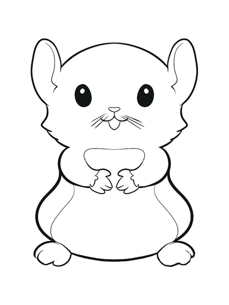 750x1000 Hamster Coloring Page Hamster Animal Coloring Pages Cute Hamster