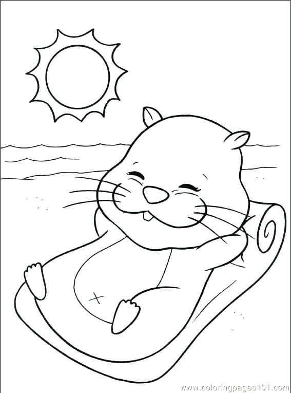 567x765 Hamster Coloring Page Pet Hamster Coloring Pages