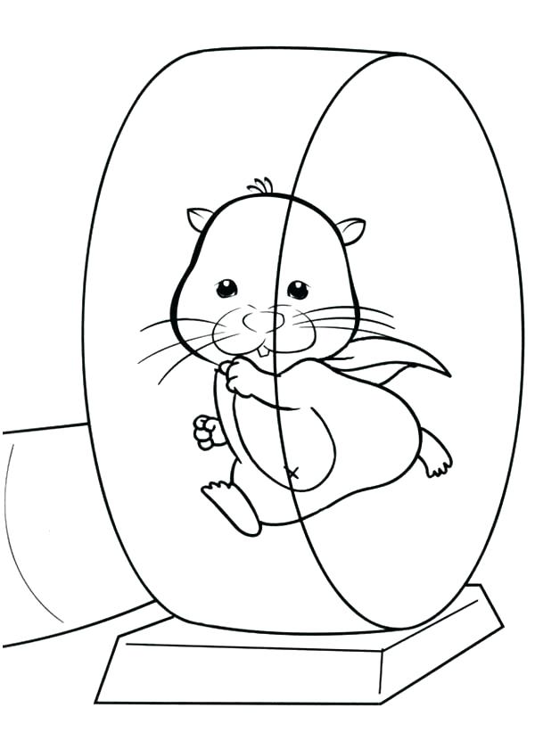600x840 Hamster Coloring Pages Awesome Hamster Coloring Page Image Pet