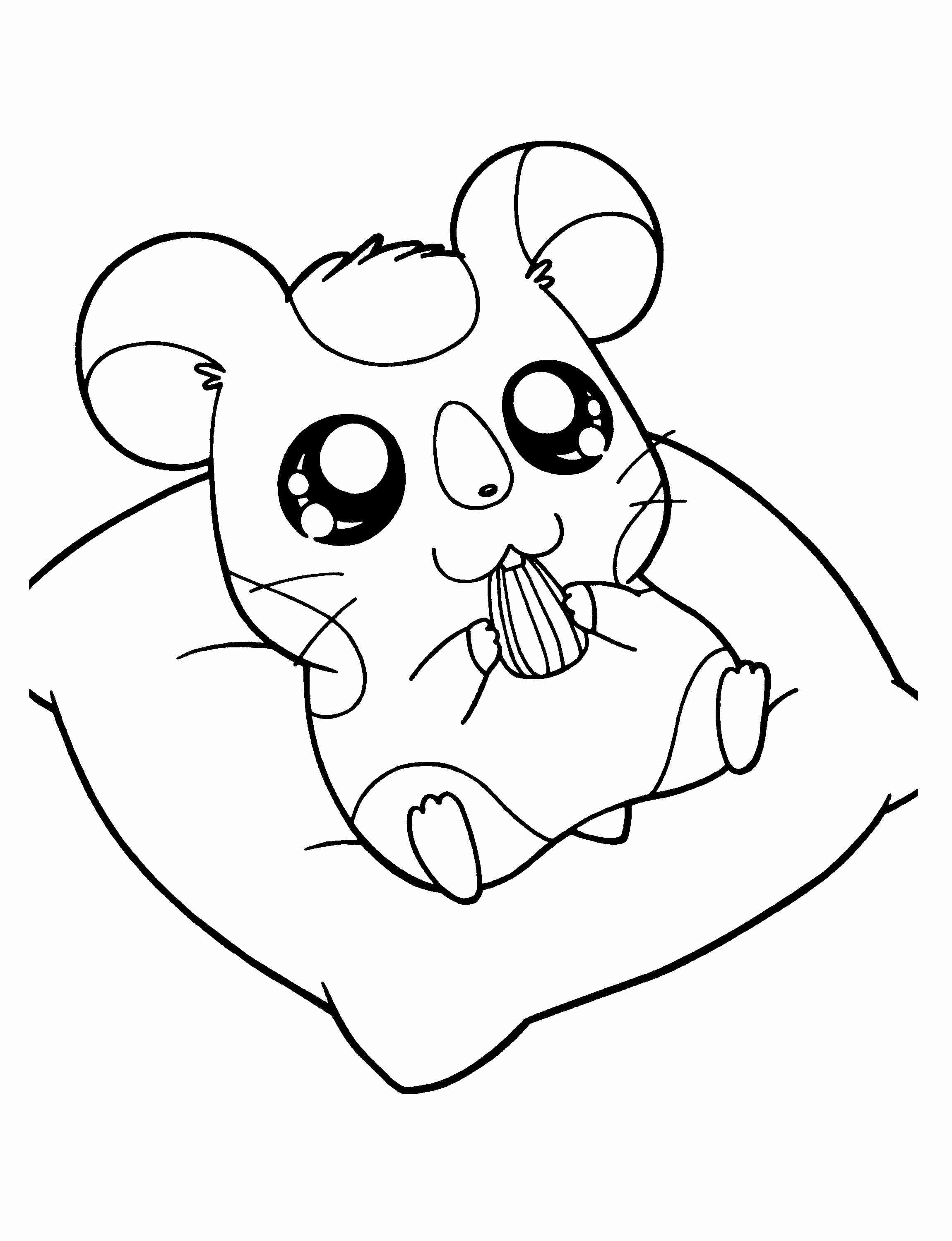 2300x3000 Cute Hamster Color