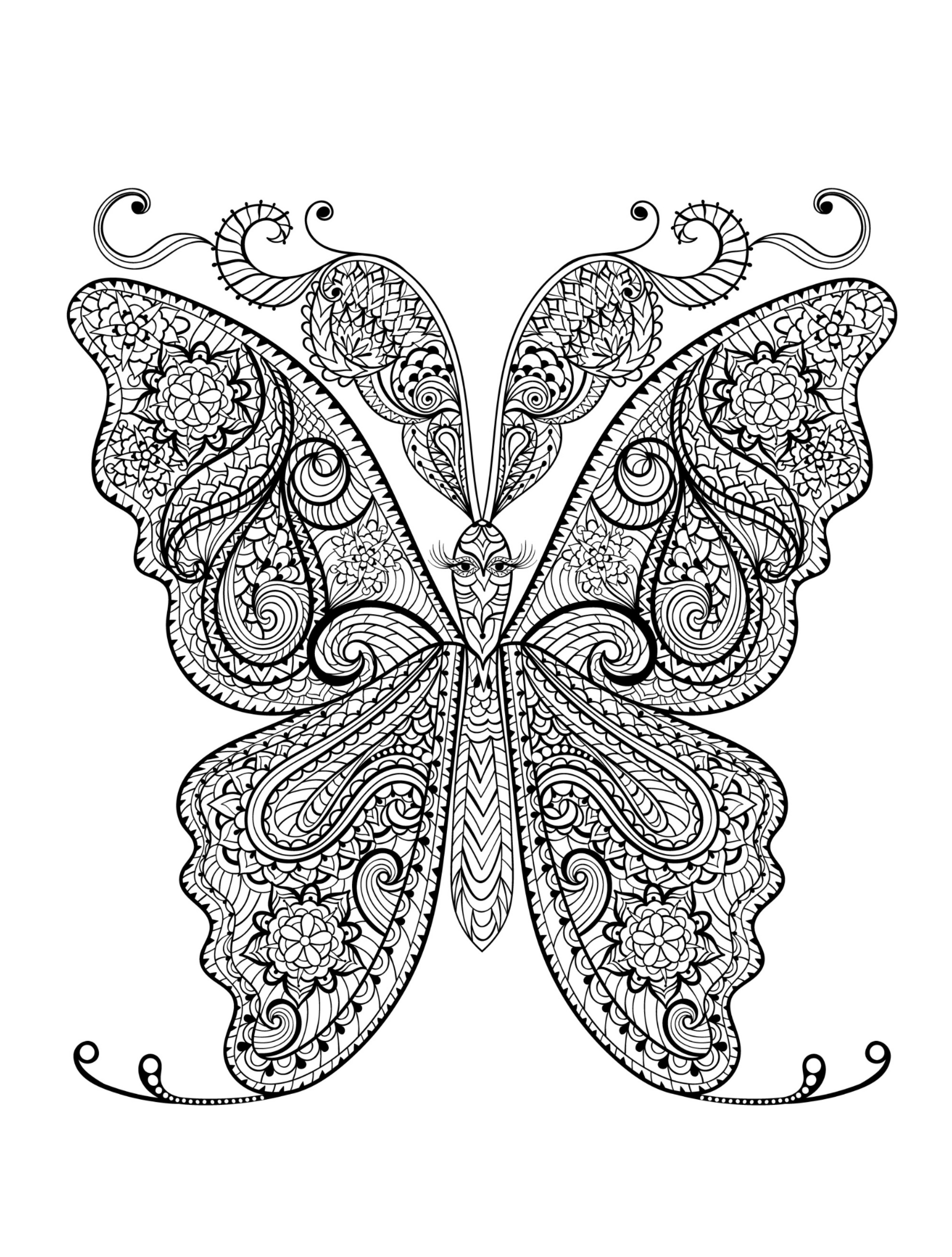 2500x3300 Hard Coloring Pages Of Butterflies Best Of Animal Coloring Pages