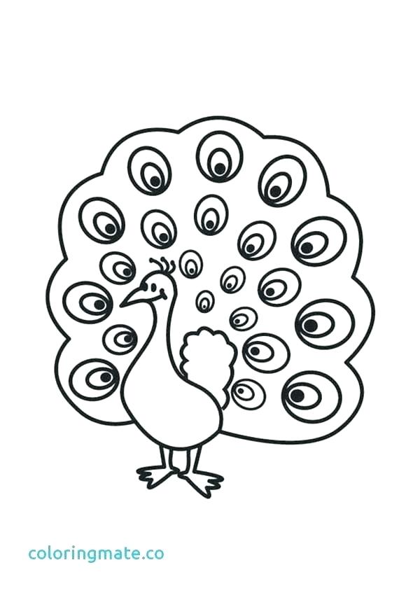600x847 Coloring Pages Of Peacocks Coloring Pages Of Peacocks Peacock