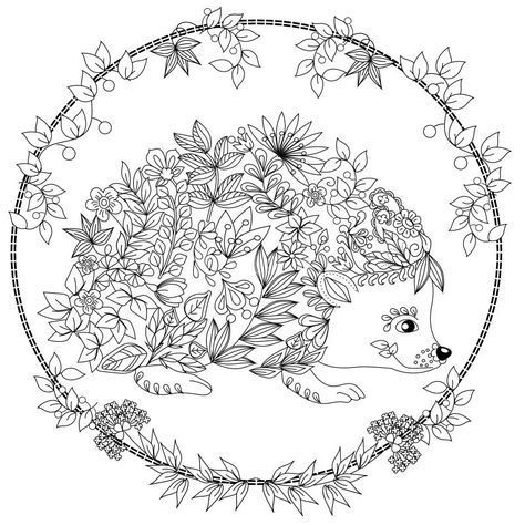 474x474 Cute Hedgehog Coloring Page Design Ms