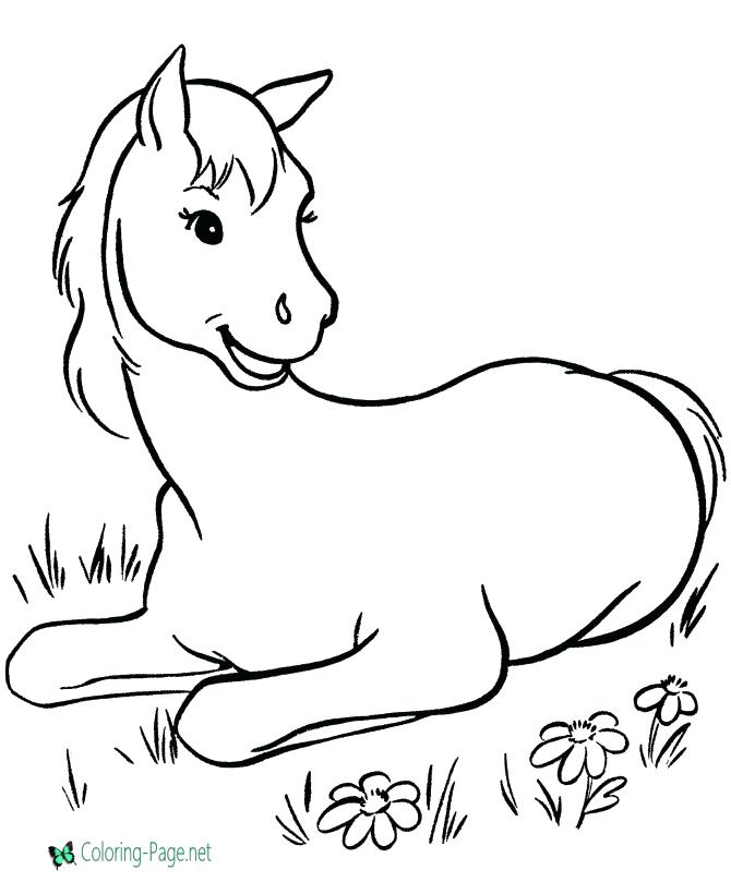 670x820 Cute Horse Coloring Pages Horse Cute Horse Coloring Pages Cute