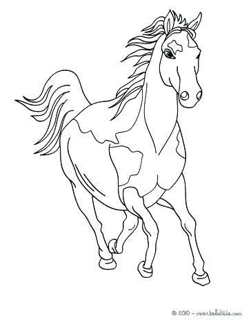 364x470 Free Printable Horse Coloring Pages For Adults Horse Coloring Page