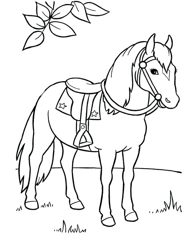 680x822 Horse Coloring Pages Preschool And Kindergarten Free Horses Online
