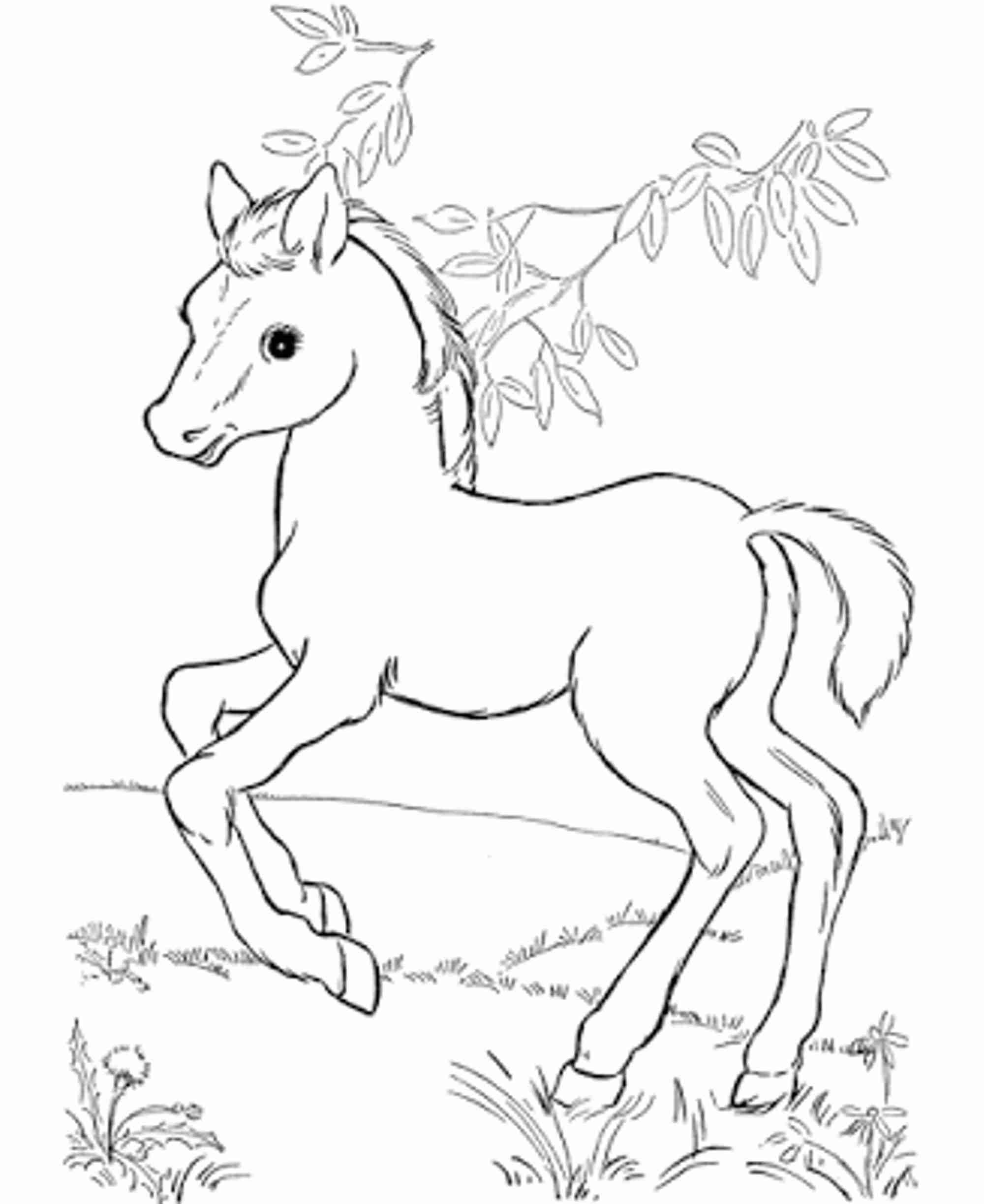 2000x2446 Coloring Cute Horse Pages Fair Of Baby Horses Olegratiy