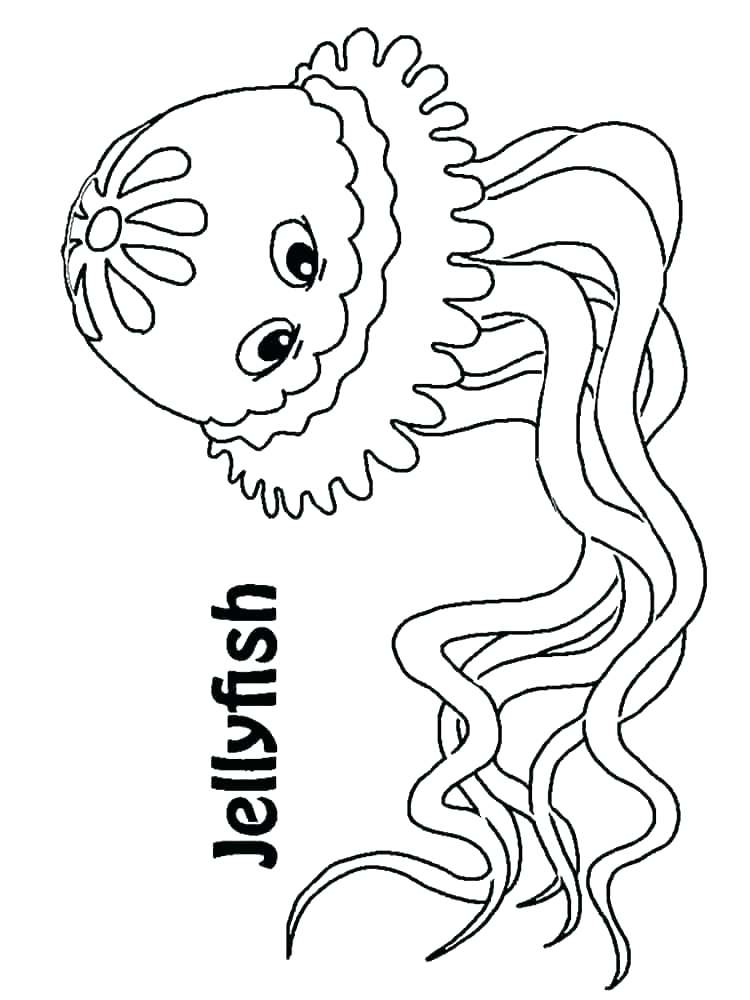 750x1000 Jelly Fish Coloring Page Best Of Jellyfish Coloring Page Pictures