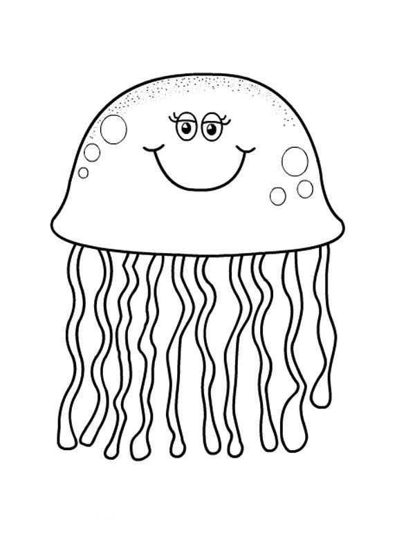 600x800 Jellyfish Coloring Pages Printable