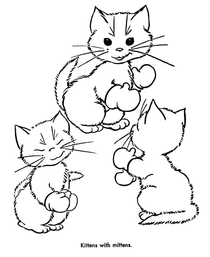 670x820 Kitten Coloring Pages To Print Kittens Coloring Page Kitten