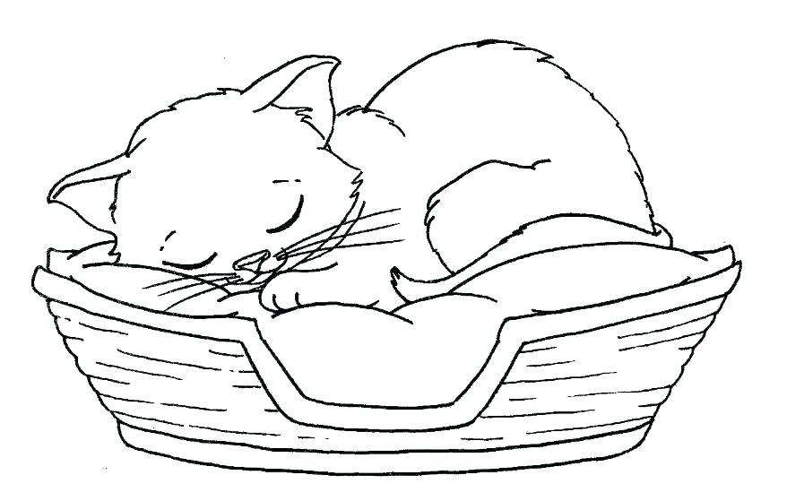 878x559 Free Printable Kitten Coloring Pages Printable Kitten Coloring