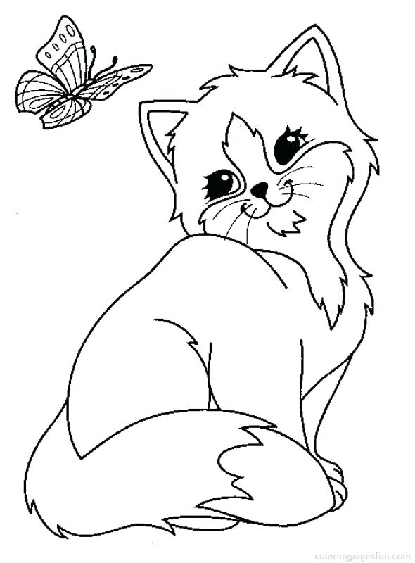590x800 Kitten Coloring Page Cats And Kitten Coloring Pages Kids Cat Free