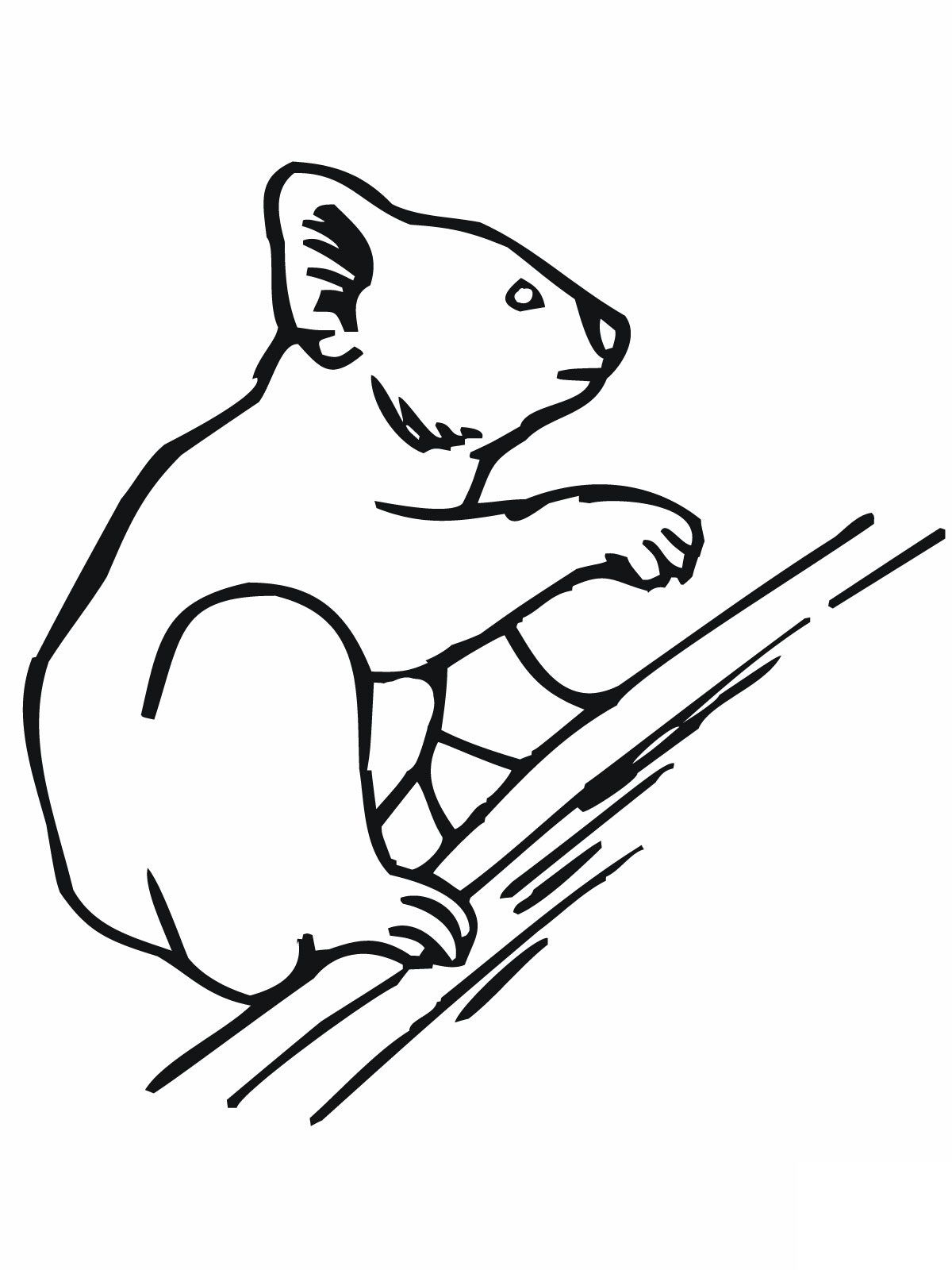 1200x1600 Free Printable Koala Coloring Pages For Kids