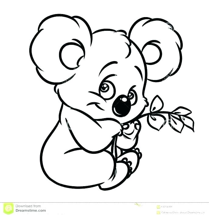 687x711 Koala Coloring Page Koala Coloring Pages Koala Coloring Pages Also