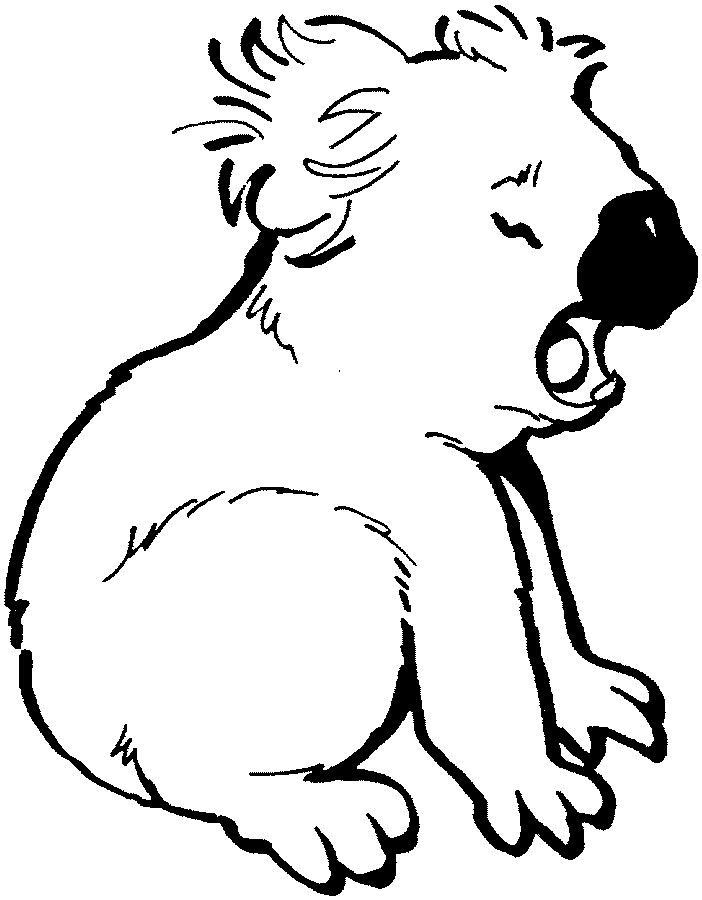 702x900 Koala Coloring Pages