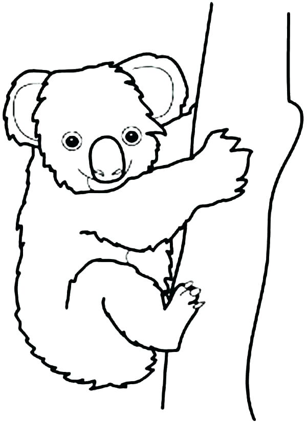 600x826 Surprising Koala Coloring Pages Koala Coloring Pages For Adults