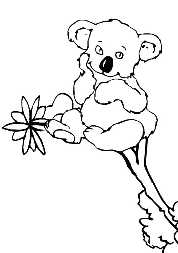 600x850 Coloring Pages Of Koalas Koala Coloring Page Koala Coloring Pages