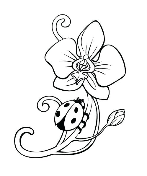 498x596 Lady Bug Coloring Page Ladybug Coloring Pages On Flower A Cute