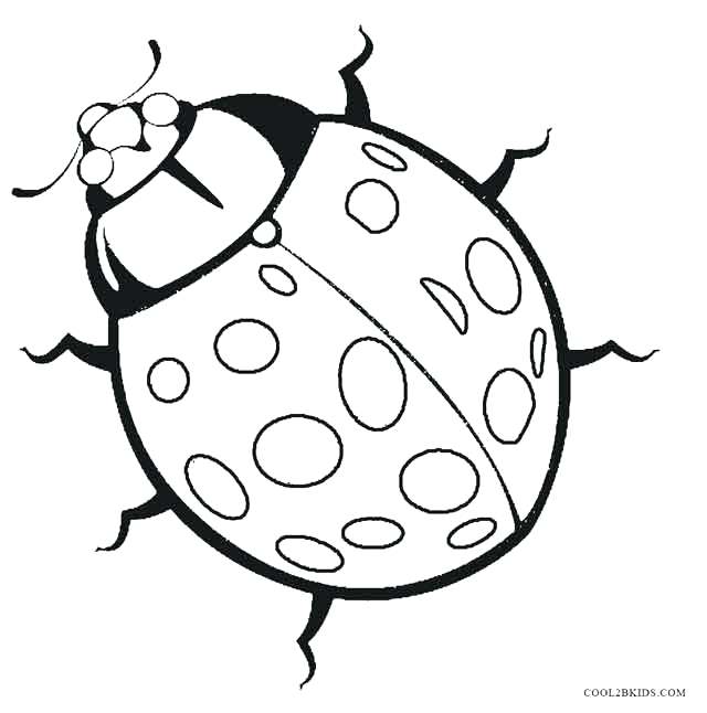 640x646 Awesome Terrific Cute Ladybug Coloring Pages Print Realistic