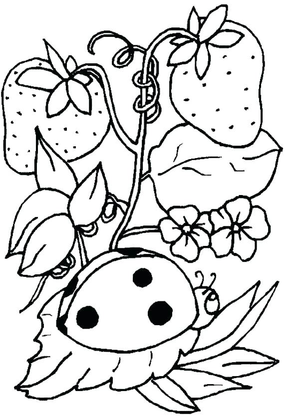 595x842 Ladybug Color Pages