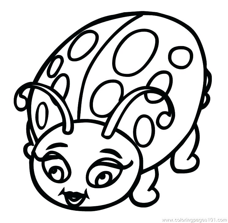 746x731 Ladybug Coloring Pages