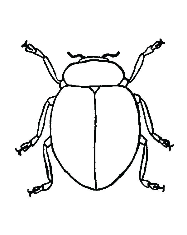 600x756 Cute Ladybug Coloring Pages Simple Ladybug Ng Sheets Bug Ng Sh