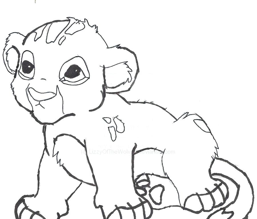 900x768 Lion Coloring Pages Lion Coloring Page Male Free Printable Pages