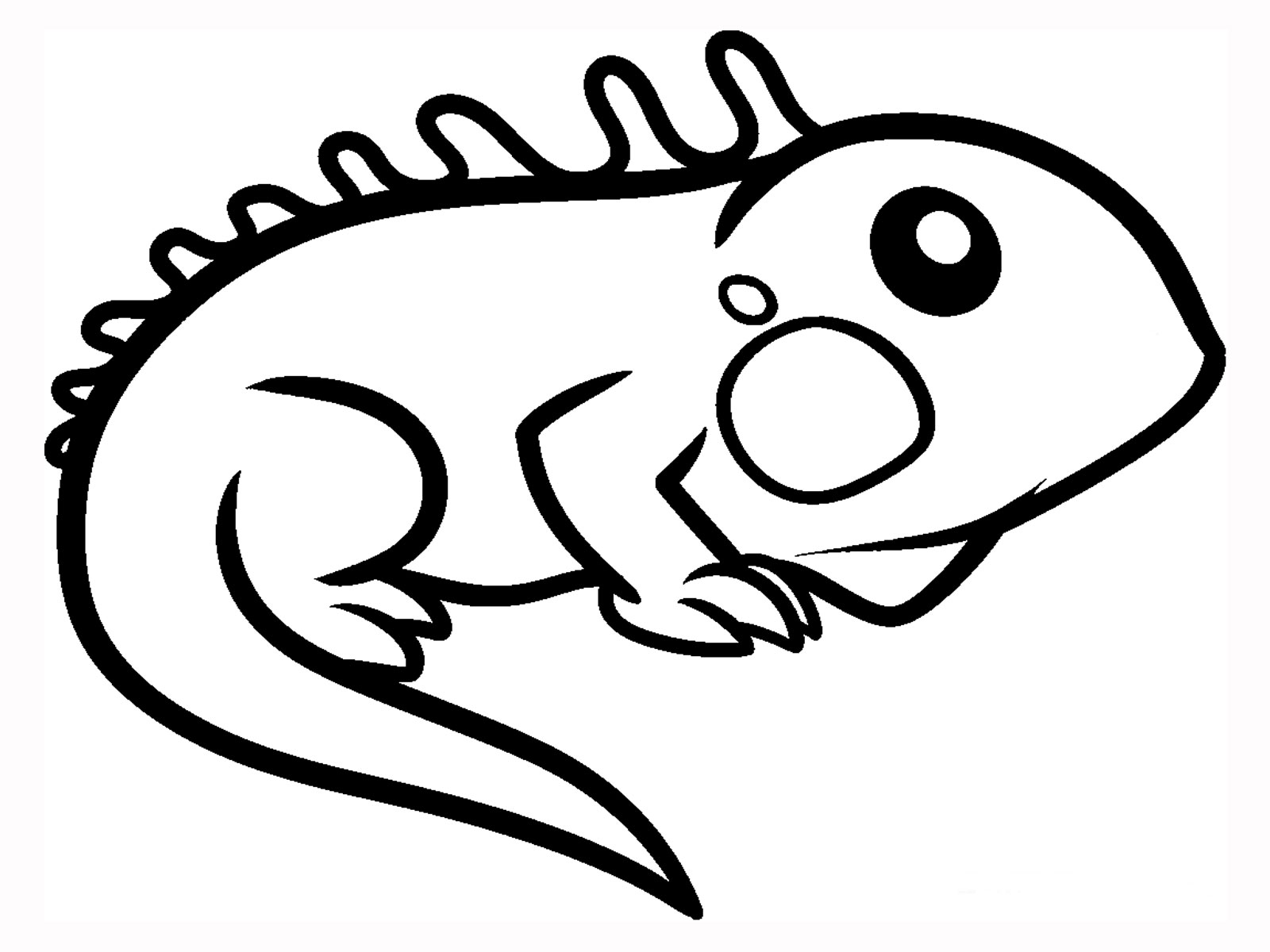 1600x1200 Iguana Coloring Pages