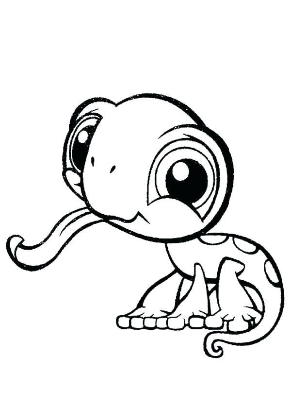 600x840 Lizard Coloring Pages Iguana Coloring Page Pin Lizard Coloring