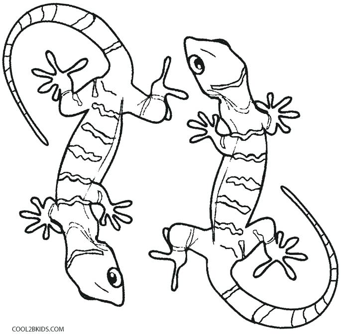 685x676 Lizard Coloring Pages Lizard Coloring Pages Cute Lizard Coloring