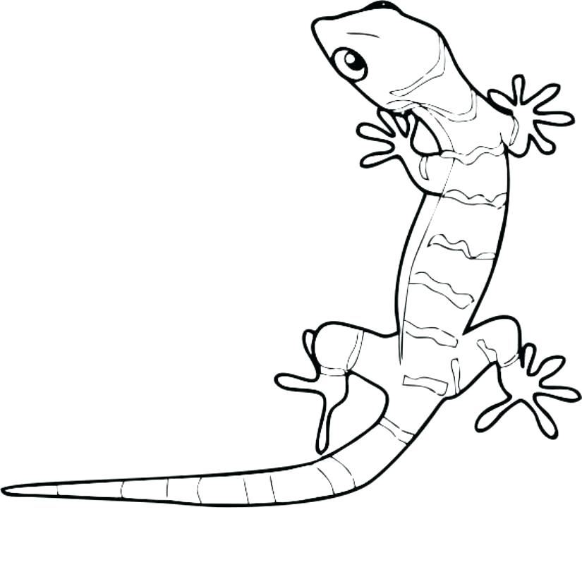 825x821 Amazing Spider Man Lizard Coloring Pages Gecko Coloring Pages Two