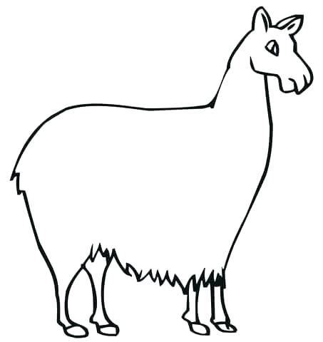 453x480 Llama Coloring Page Llama Animal Coloring Pages Click To See