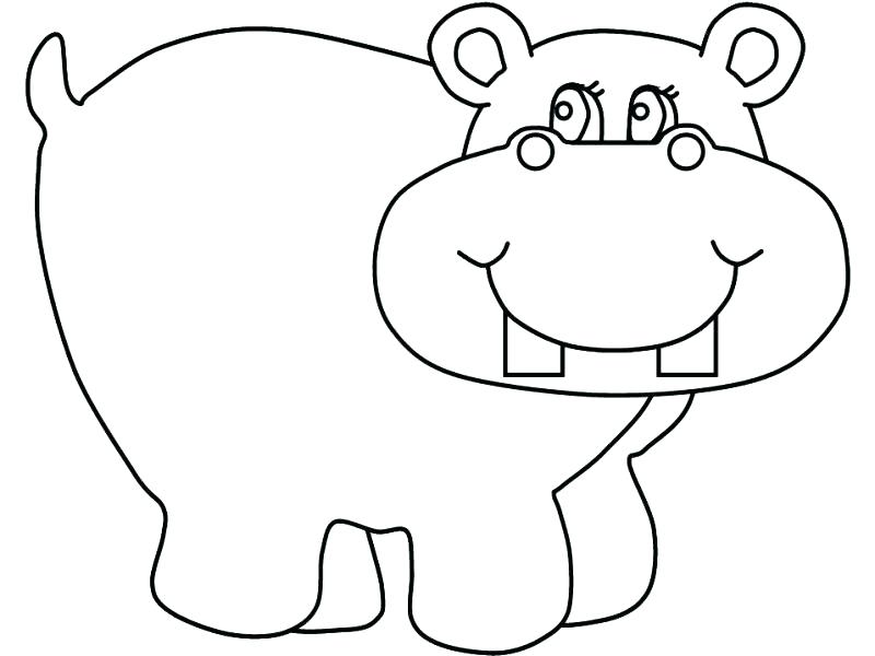 800x600 Cute Moose Coloring Pages Hippo Sheets Face Page Baby Zahlkarte Site