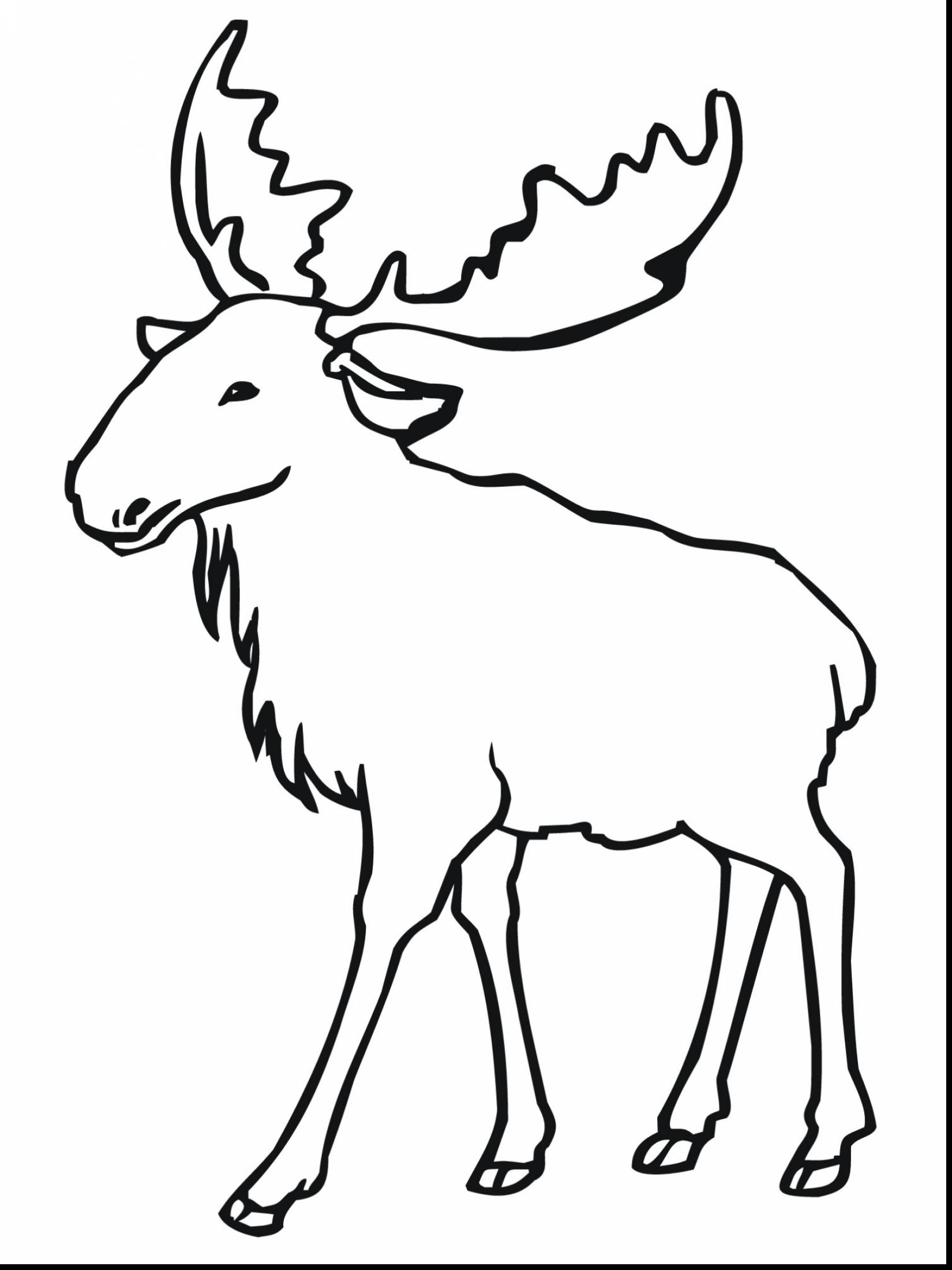 1650x2200 New Moose Coloring Page Collection Printable Coloring Sheet