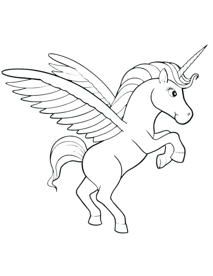 687x889 Narwhal Coloring Page Cute Unicorn Coloring Pages Printable As