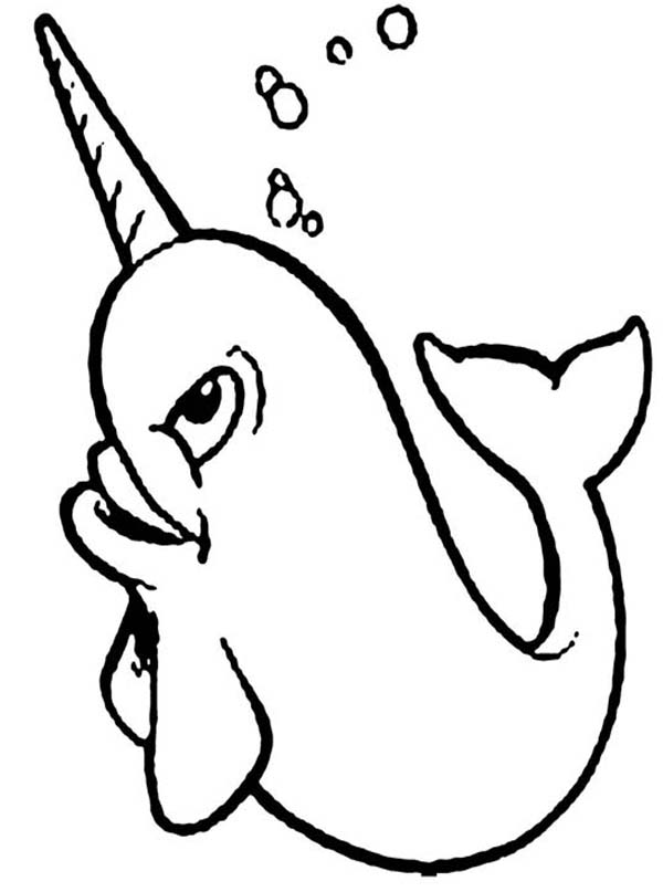 600x807 Narwhal Coloring Pages