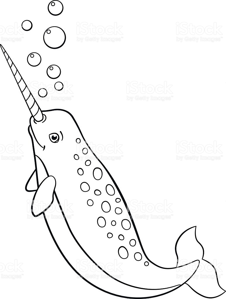 774x1024 Narwhal Coloring Pages Printable Coloring For Kids