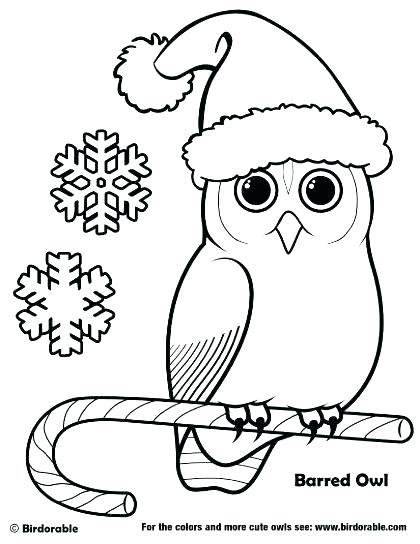 420x544 Owl Coloring Sheet
