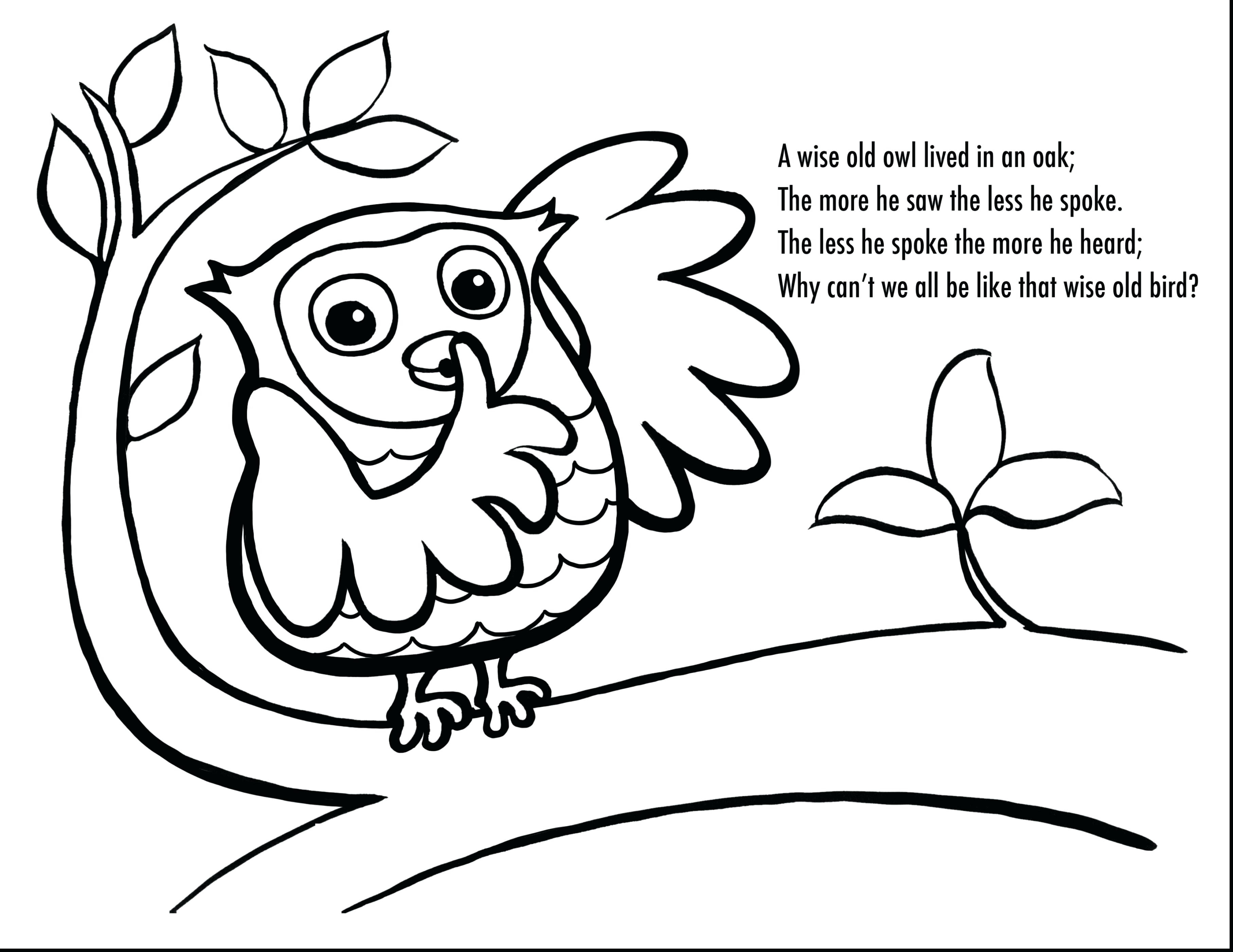 3630x2805 Coloring Pages Owls Cute Wagashiya