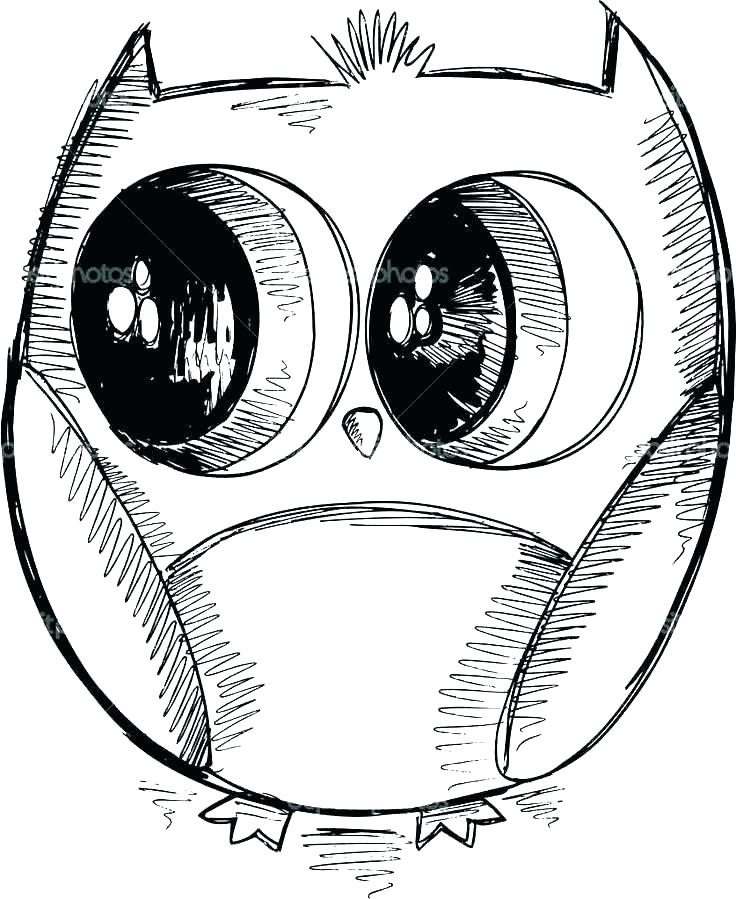 736x899 Cute Owl Printable Coloring Pages